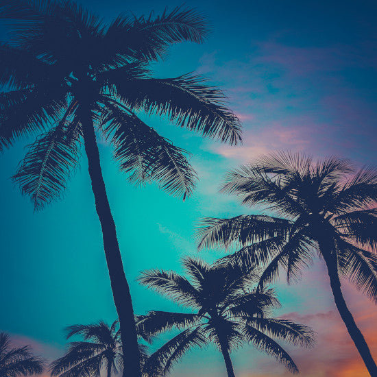 Landscape Photography